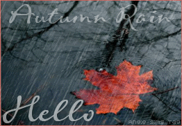 autumn rain hello